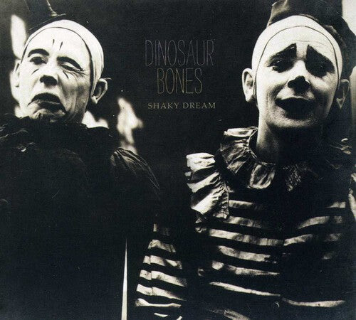 CD диск Dinosaur Bones: Shaky Dream 
CD диск Dinosaur Bones: Shaky Dream