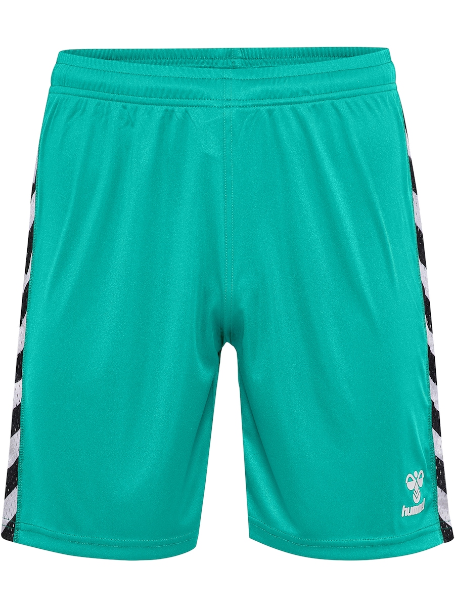 Обычные спортивные штаны Hummel, голубой
Обычные спортивные штаны Hummel, голубой
