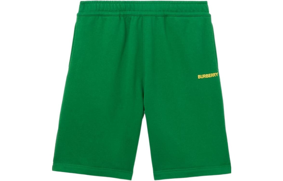 Повседневные шорты мужские зеленые Burberry, зеленый 
Повседневные шорты мужские зеленые Burberry, зеленый
