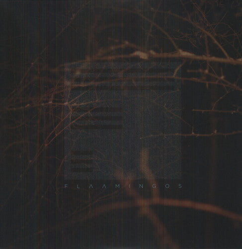 Виниловая пластинка Flaamingos: Flaamingos
Виниловая пластинка Flaamingos: Flaamingos