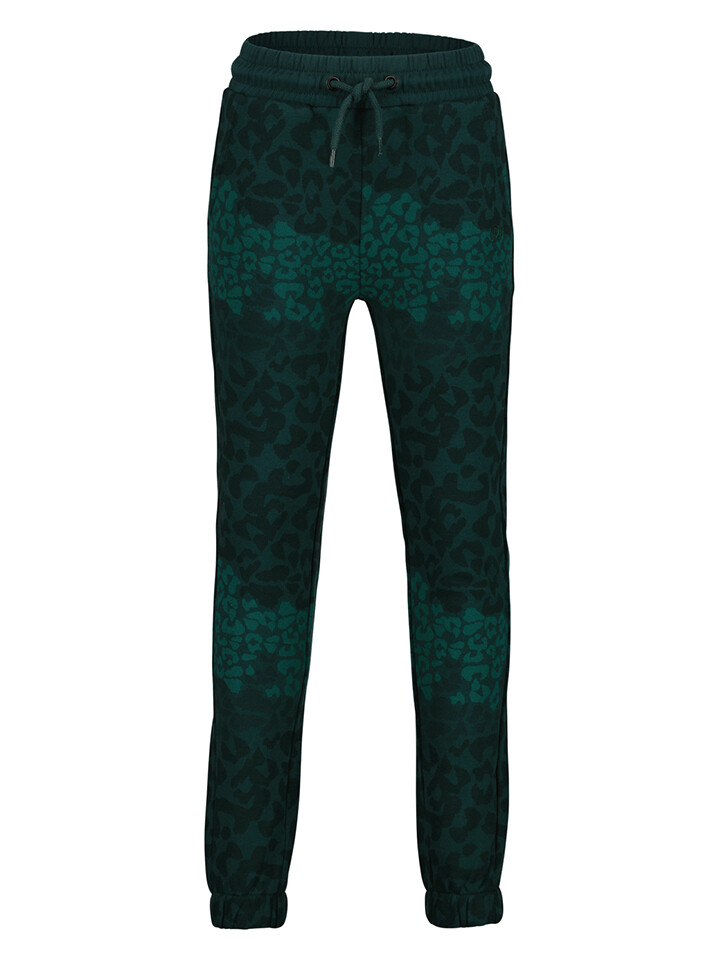 Спортивные брюки RAIZZED Kansas Sacramento, зеленый
Спортивные брюки RAIZZED Kansas Sacramento, зеленый