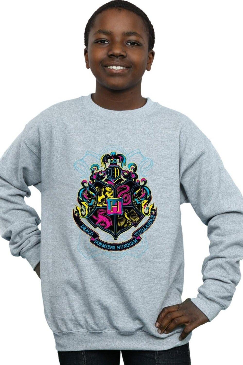 Неоновая толстовка с гербом Хогвартса Harry Potter, серый
Неоновая толстовка с гербом Хогвартса Harry Potter, серый