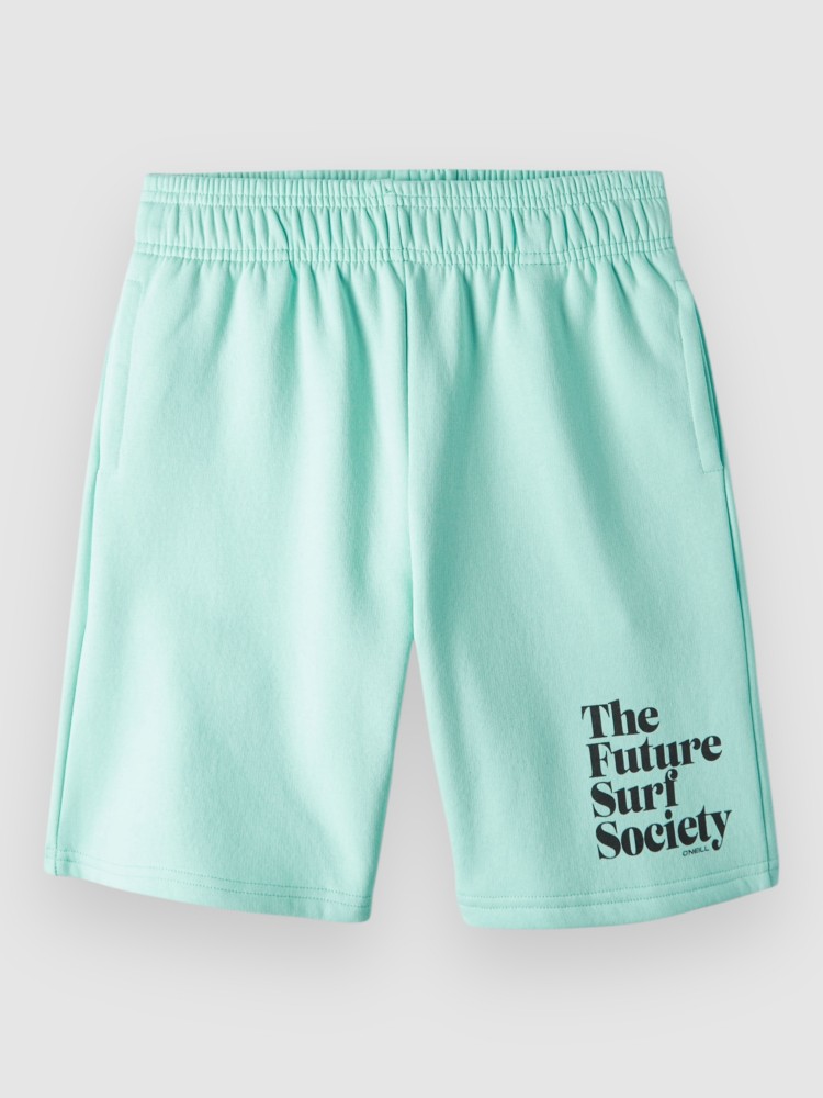 Шорты O'Neill Future Surf Kids Shorts, beach glass
Шорты O'Neill Future Surf Kids Shorts, beach glass