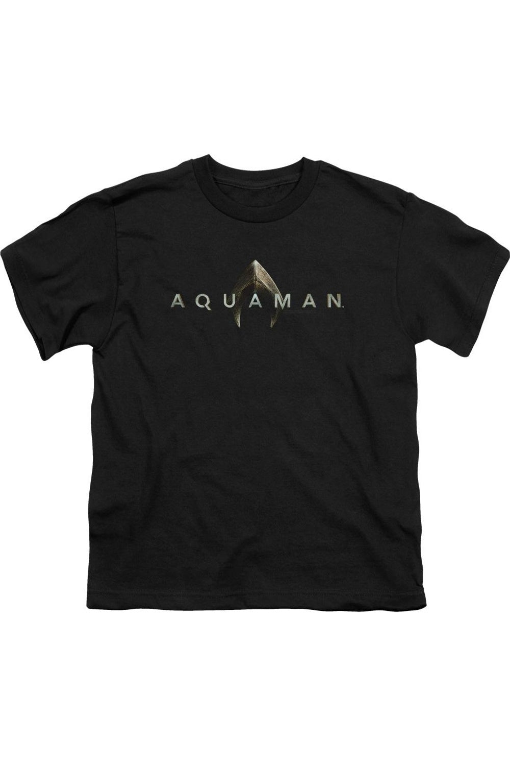 Футболка с логотипом фильма "Аквамен" для детей Gildan, черный
Футболка с логотипом фильма "Аквамен" для детей Gildan, черный