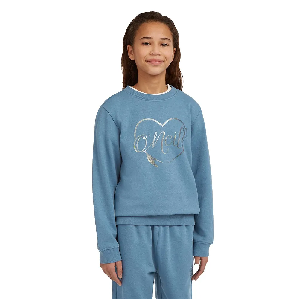 Толстовка O´neill Essentials, синий
Толстовка O´neill Essentials, синий