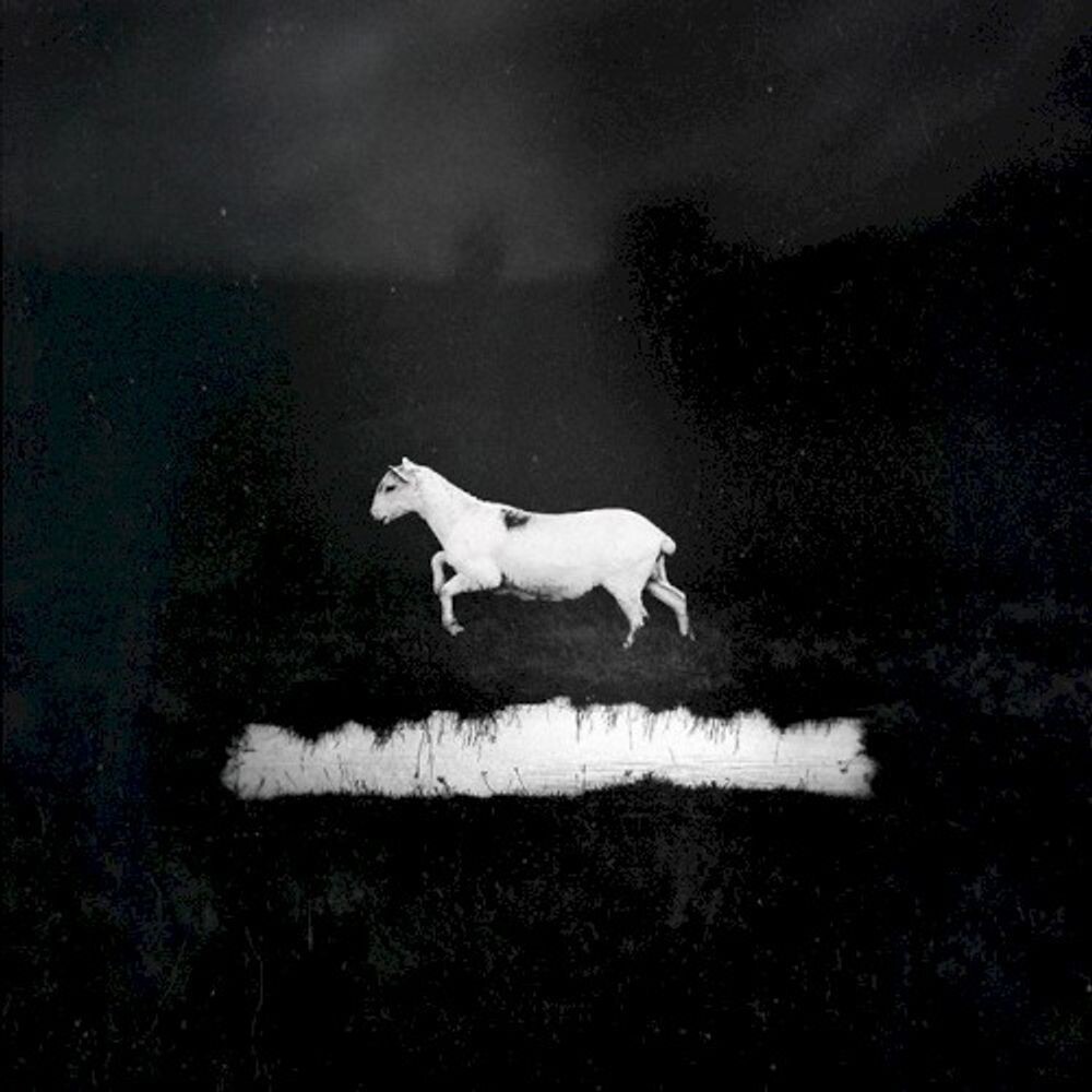 Диск CD Prédateurs - Les Discrets
Диск CD Prédateurs - Les Discrets