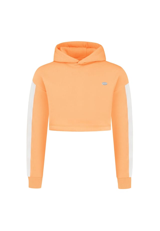 Укороченная толстовка с капюшоном Amaya Smilodox, цвет aprikose
Укороченная толстовка с капюшоном Amaya Smilodox, цвет aprikose