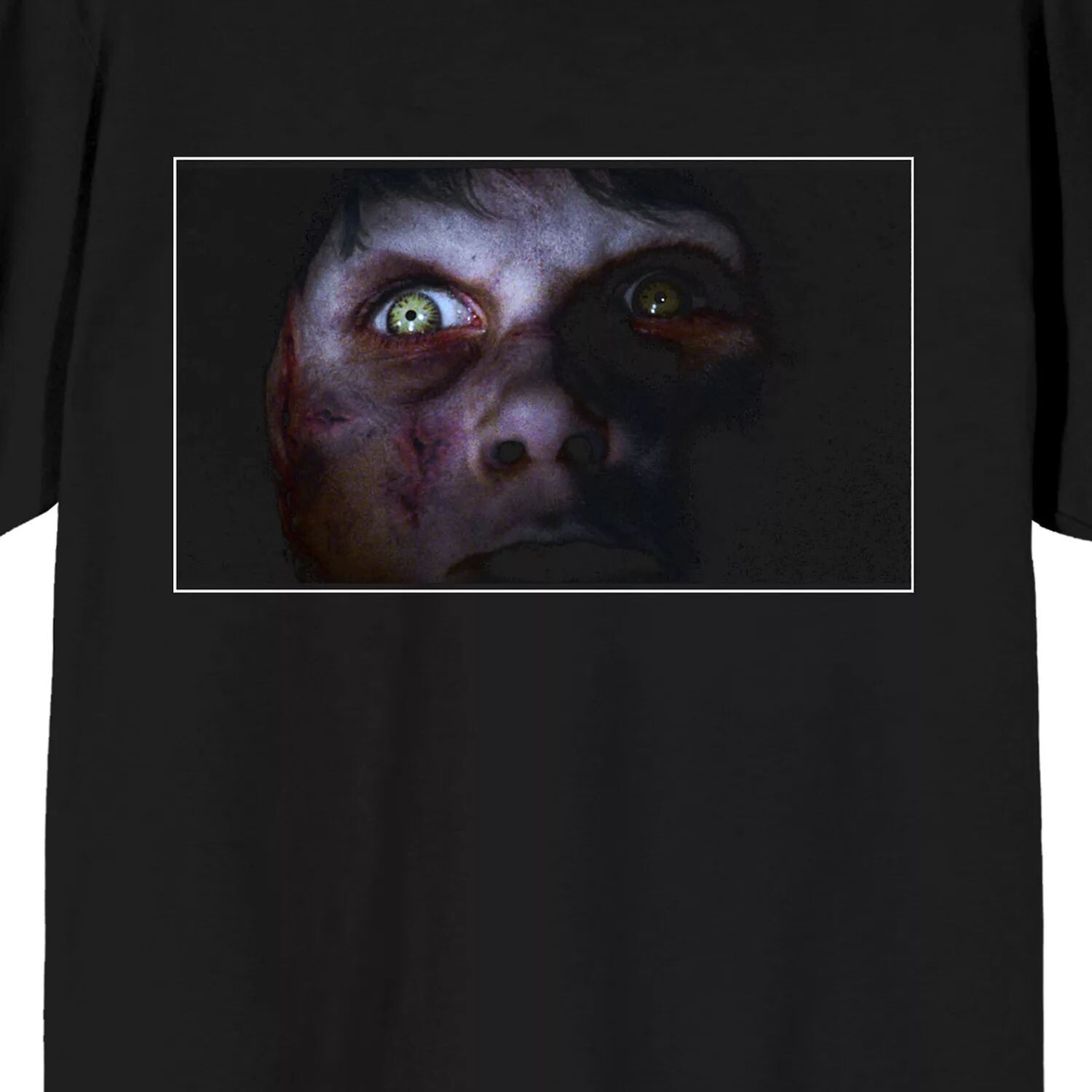 Мужская футболка The Exorcist Pazuzu Face Tee Licensed Character
Мужская футболка The Exorcist Pazuzu Face Tee Licensed Character
