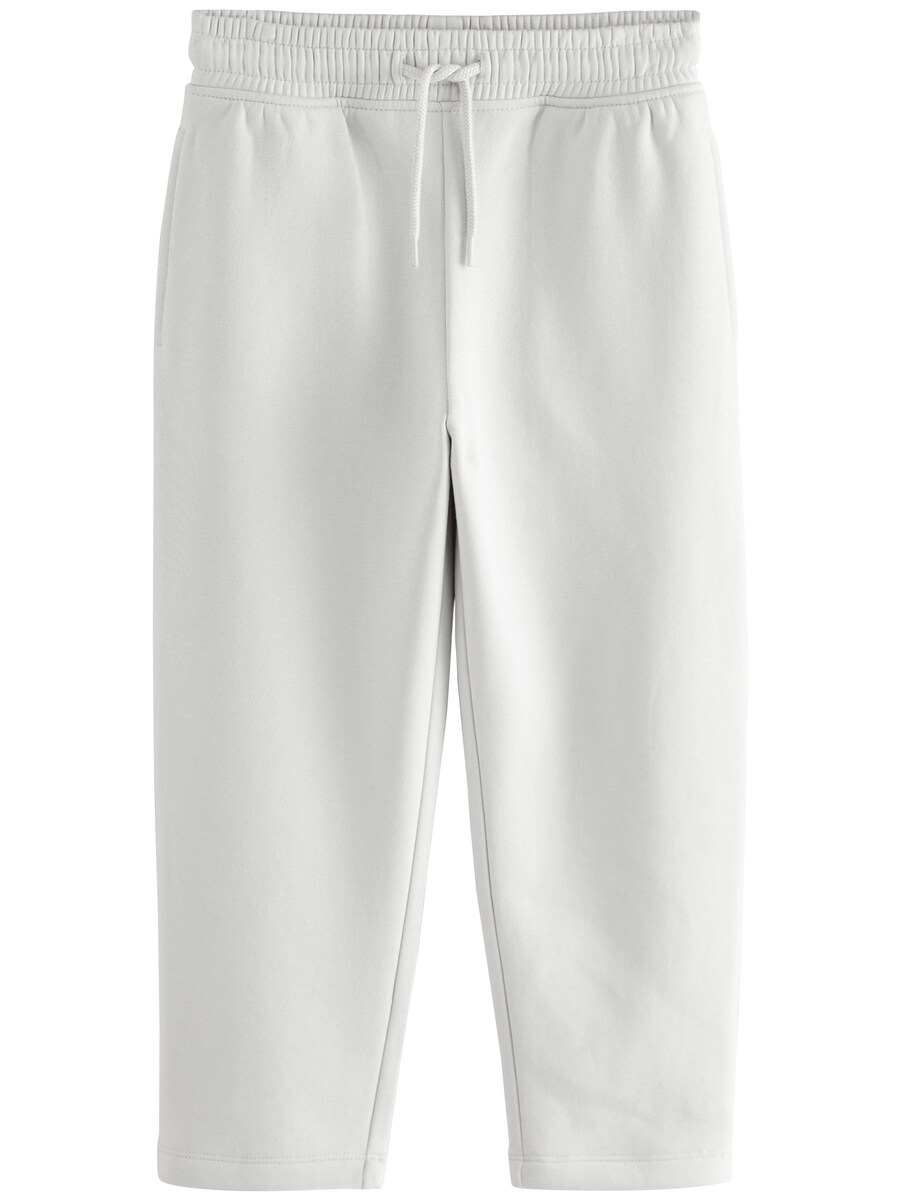 Обычные брюки Next, светло-серый
Обычные брюки Next, светло-серый