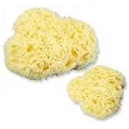 Farmac-Zabban Натуральная морская губка, средняя, 2 шт. 2367 Farmac-Zabban
Farmac-Zabban Натуральная морская губка, средняя, 2 шт. 2367 Farmac-Zabban