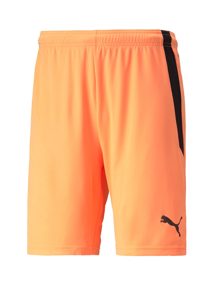 Обычные тренировочные брюки PUMA, оранжевый
Обычные тренировочные брюки PUMA, оранжевый