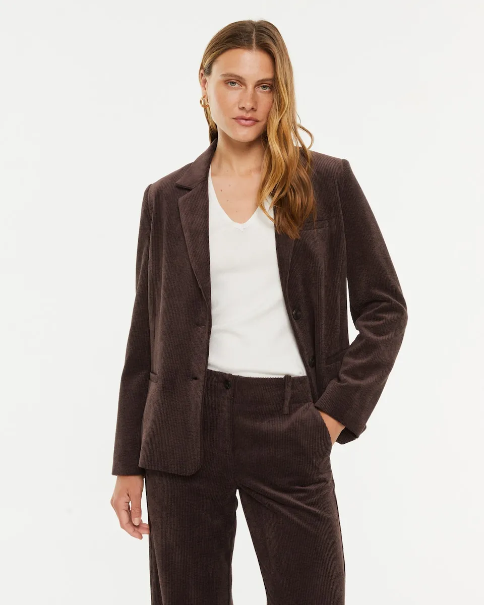 Женский базовый вельветовый блейзер с лацканами Paz Torras, коричневый
Женский базовый вельветовый блейзер с лацканами Paz Torras, коричневый