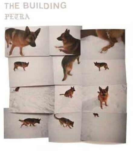 Виниловая пластинка Building: Petra
Виниловая пластинка Building: Petra