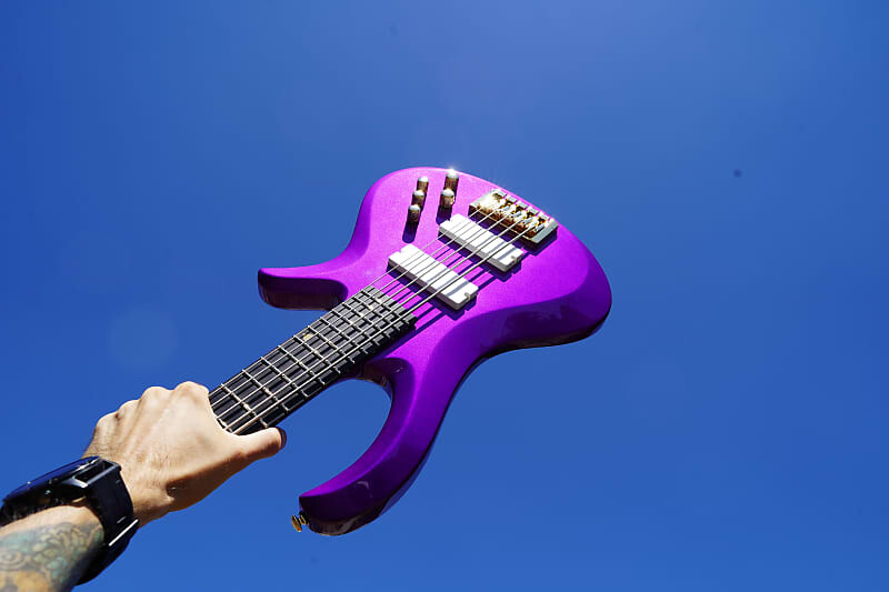 Басс гитара Schecter Diamond Series FreeZesicle Freeze Purple 5-String Bass
Басс гитара Schecter Diamond Series FreeZesicle Freeze Purple 5-String Bass