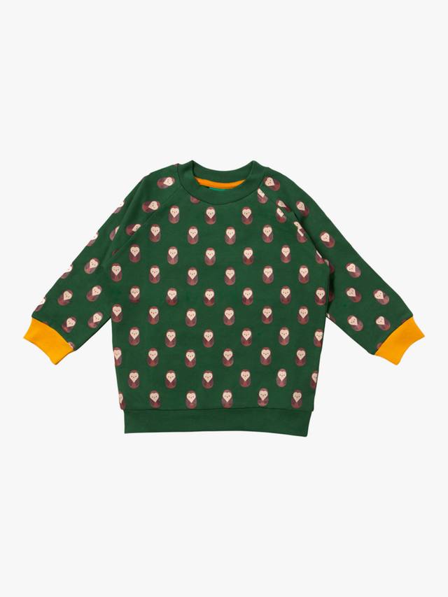 Детский свитшот с совой из органического хлопка Little Green Radicals
Детский свитшот с совой из органического хлопка Little Green Radicals