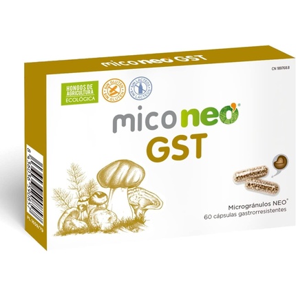 Мико Нео Gst 60 капсул Neovital
Мико Нео Gst 60 капсул Neovital