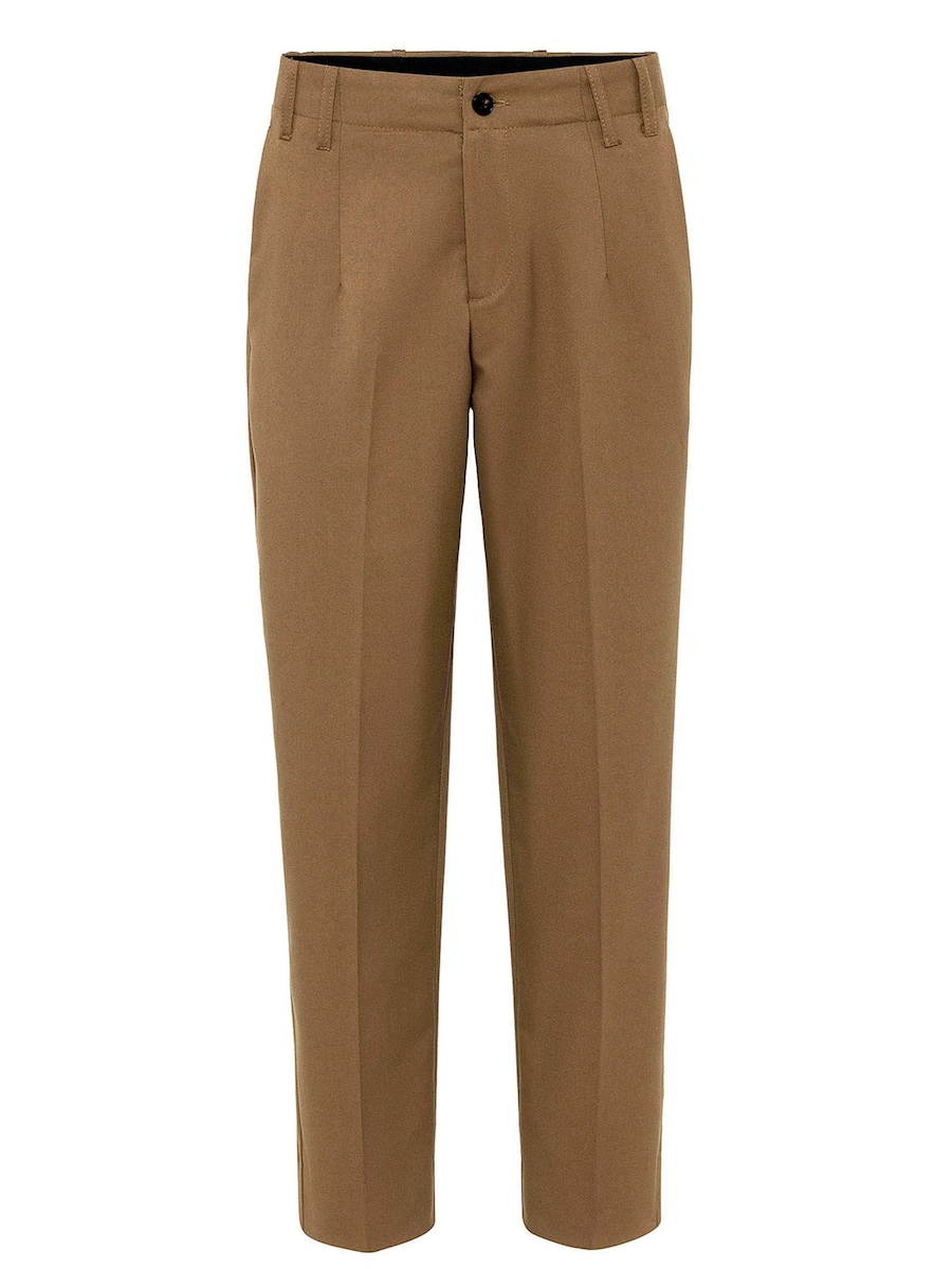 Обычные брюки со складками спереди Antioch, темно-бежевый
Обычные брюки со складками спереди Antioch, темно-бежевый