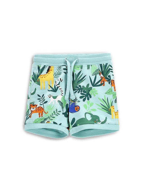 Спортивные шорты обычного кроя WC5121503TBN Coccodrillo, зеленый
Спортивные шорты обычного кроя WC5121503TBN Coccodrillo, зеленый