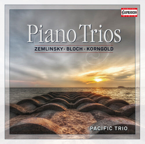 CD диск Zemlinsky / Bloch / Korngold / Pacific Trio: Pno Trios
CD диск Zemlinsky / Bloch / Korngold / Pacific Trio: Pno Trios