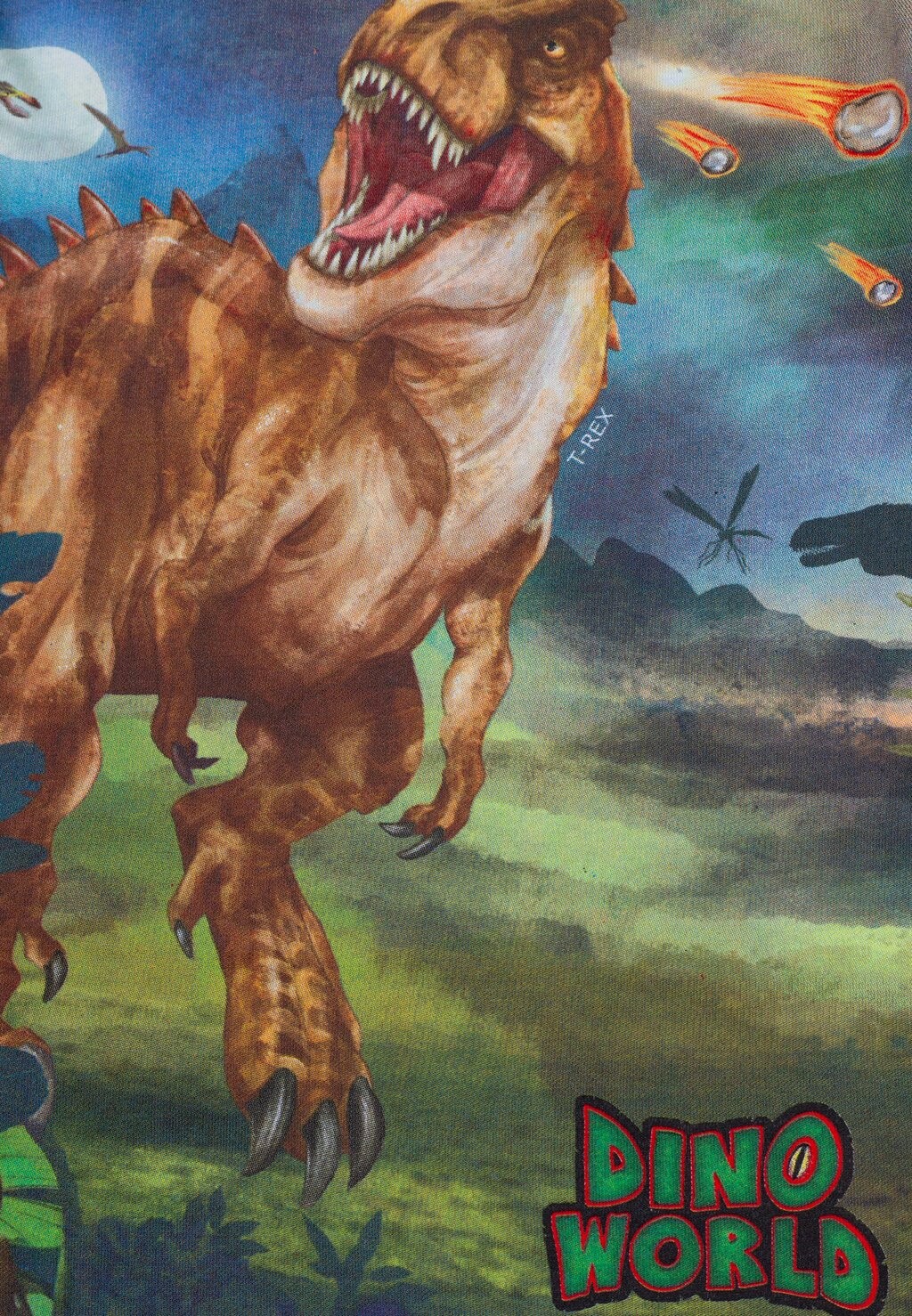 Топ с длинными рукавами Dino World, зеленый
Топ с длинными рукавами Dino World, зеленый