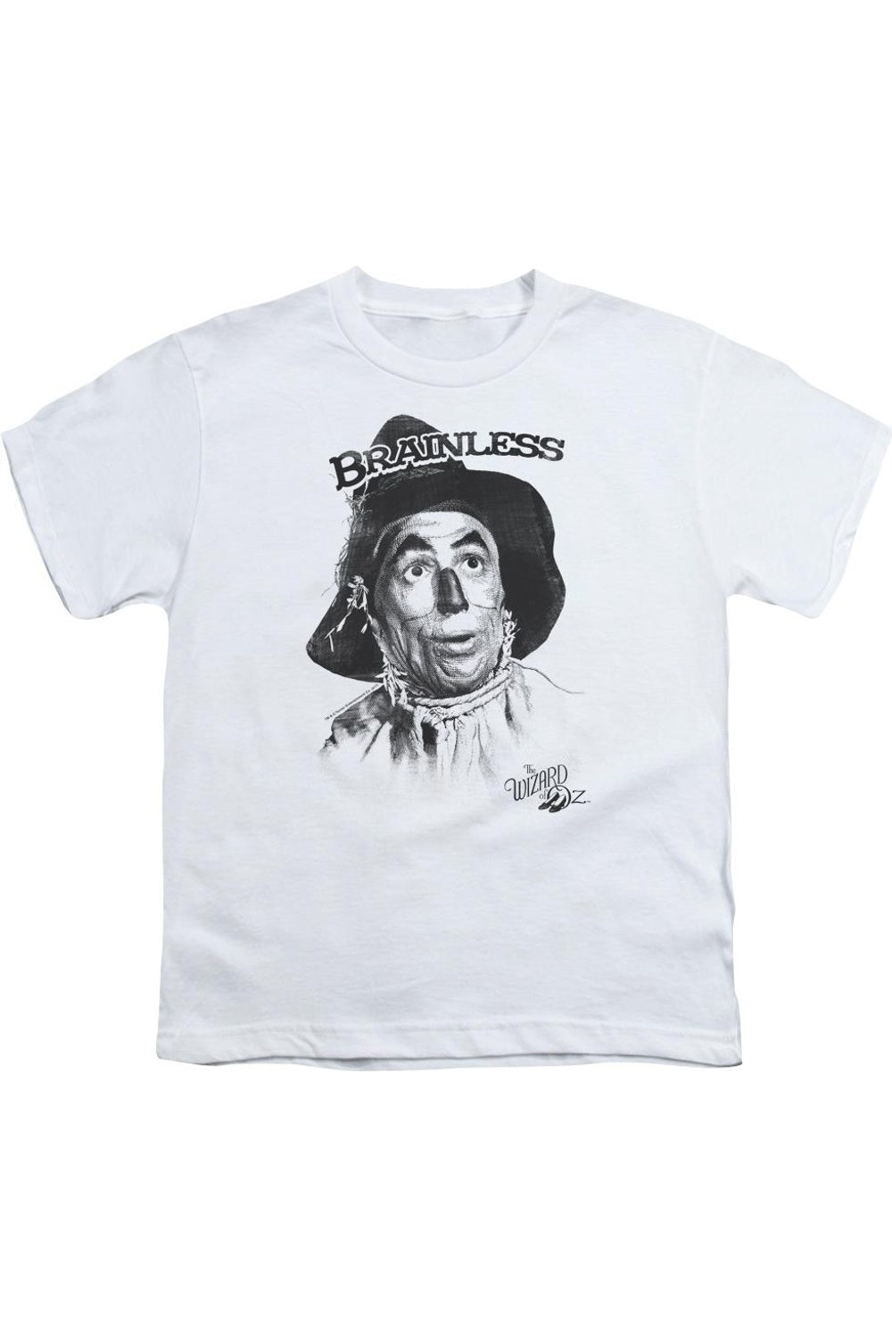 Футболка "Волшебник страны Оз" без мозгов, детская, с коротким рукавом Gildan, белый
Футболка "Волшебник страны Оз" без мозгов, детская, с коротким рукавом Gildan, белый