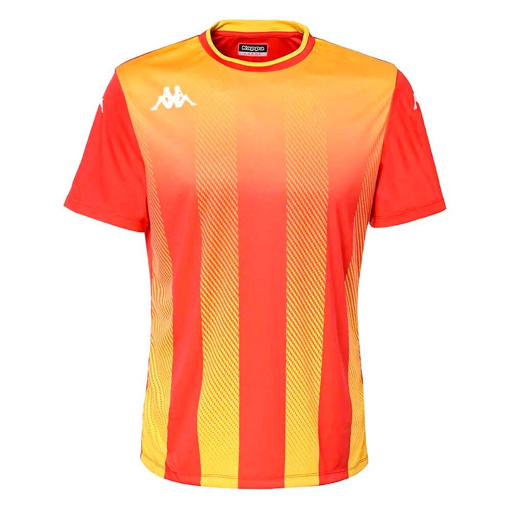Футболка Kappa Bugo, оранжевый
Футболка Kappa Bugo, оранжевый