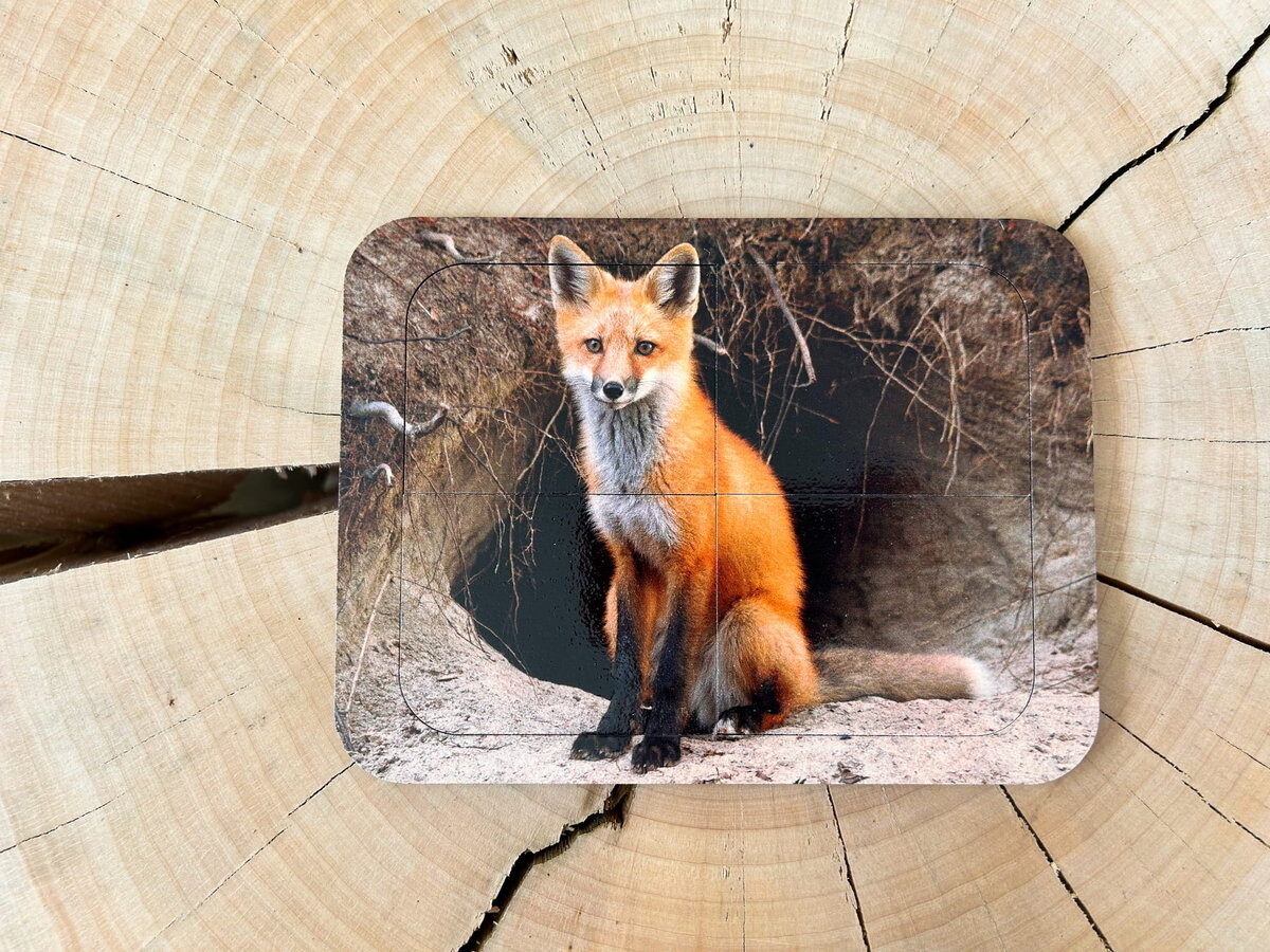 Лиса, деревянный пазл с четырьмя элементами, основа с подписью, первый пазл Inna marka
Лиса, деревянный пазл с четырьмя элементами, основа с подписью, первый пазл Inna marka