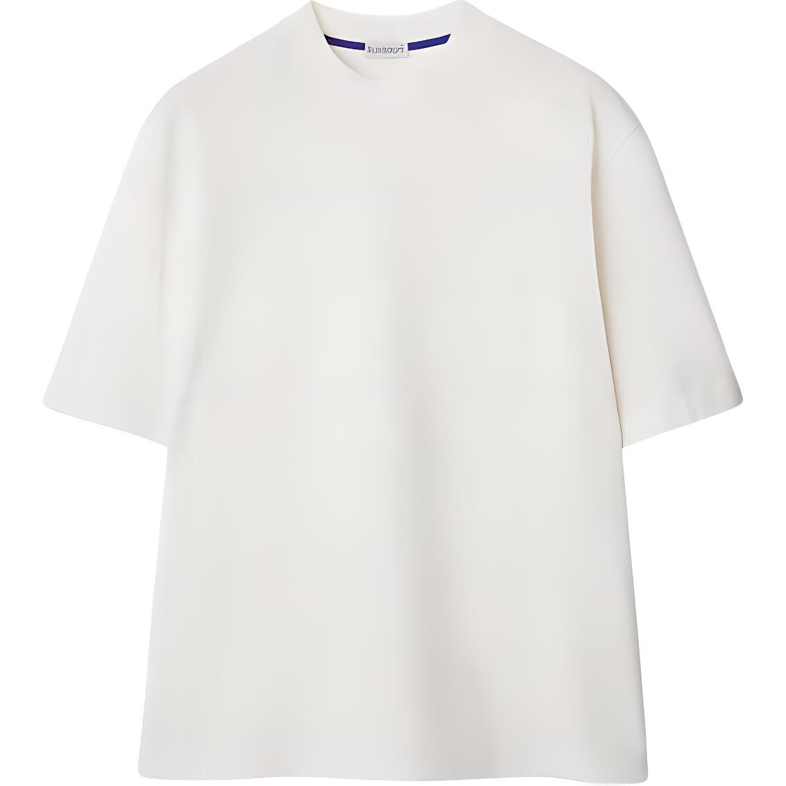 Футболка мужская Соль Burberry, цвет Salt
Футболка мужская Соль Burberry, цвет Salt