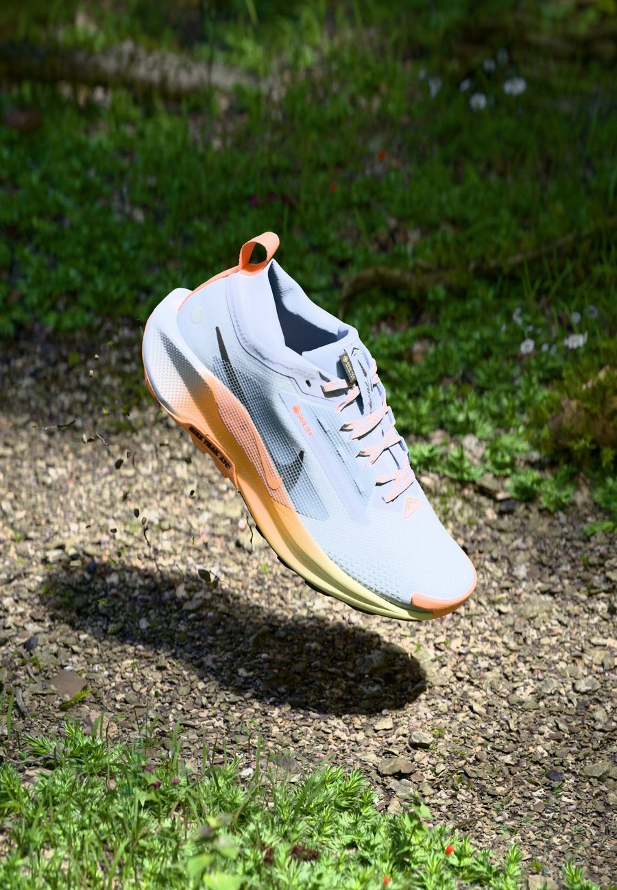 Кроссовки Nike Performance REACTX PEGASUS 5 GTX, Ghost/Black/Malt/Orange Pulse/Alabaster/Grey
Кроссовки Nike Performance REACTX PEGASUS 5 GTX, Ghost/Black/Malt/Orange Pulse/Alabaster/Grey