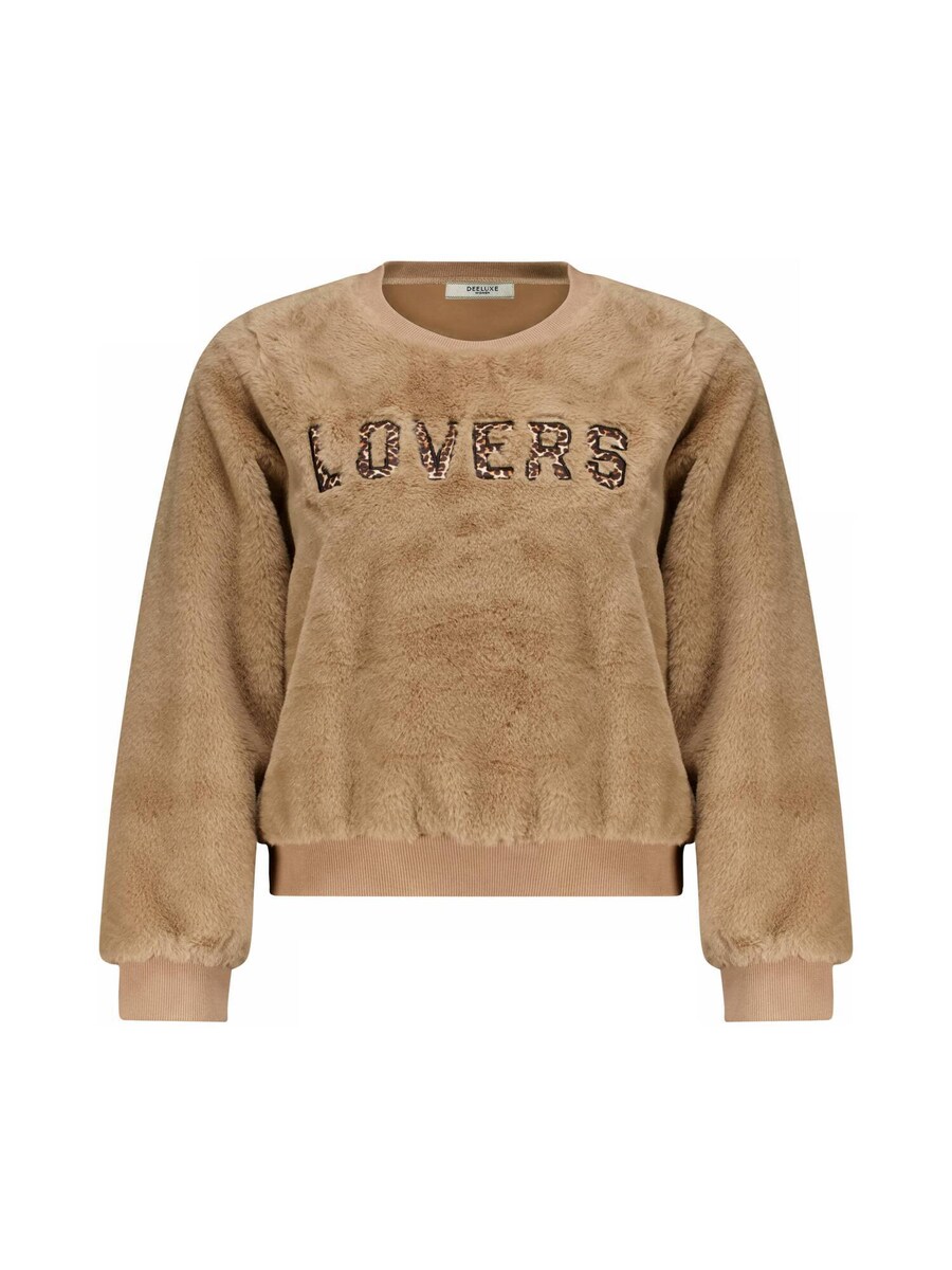 Толстовка Deeluxe KYLERA, коричневый
Толстовка Deeluxe KYLERA, коричневый