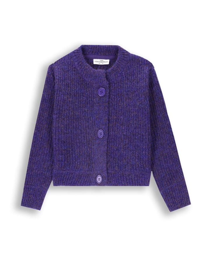 Пуловер Coccodrillo, фиолетовый
Пуловер Coccodrillo, фиолетовый