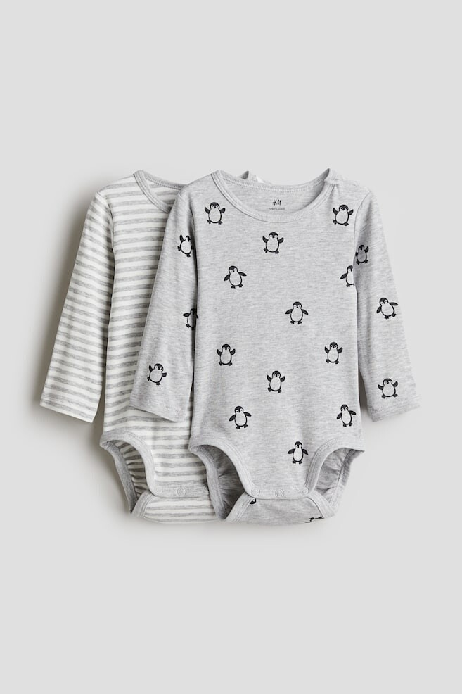 В упаковке 2 боди с длинными рукавами H&M, серый
В упаковке 2 боди с длинными рукавами H&M, серый