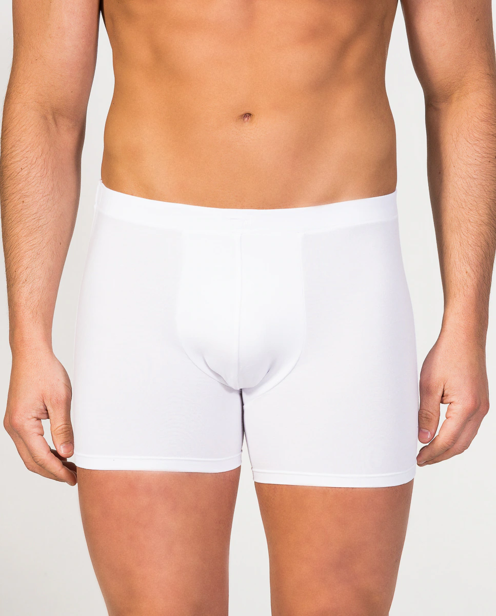 Мужские трикотажные боксерские шорты микромодального цвета белого цвета ZD, белый
Мужские трикотажные боксерские шорты микромодального цвета белого цвета ZD, белый