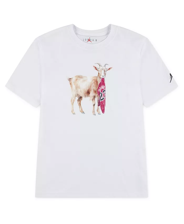 Мальчики 8-20 Flight Goat футболка Jordan, белый
Мальчики 8-20 Flight Goat футболка Jordan, белый