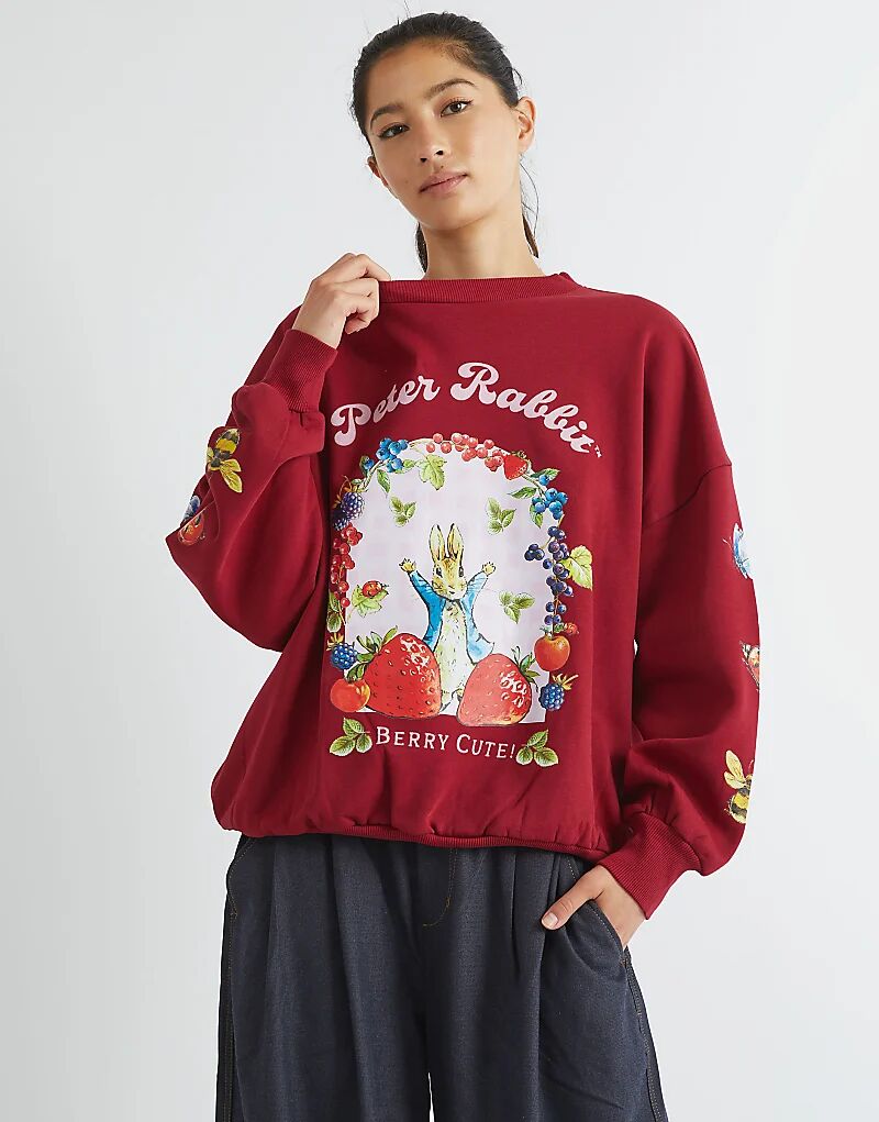 Свитшот Skinnydip London Peter Rabbit Berry с милой ягодой в красном цвете
Свитшот Skinnydip London Peter Rabbit Berry с милой ягодой в красном цвете