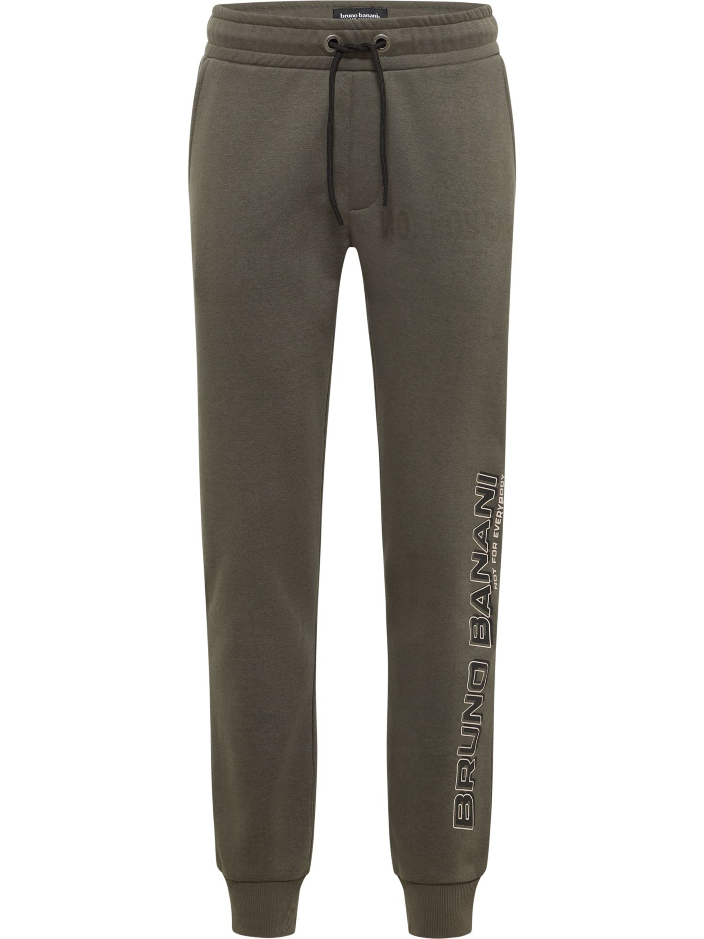 Bruno Banani Обычные штаны 'FOX' в цвете Olive
Bruno Banani Обычные штаны 'FOX' в цвете Olive