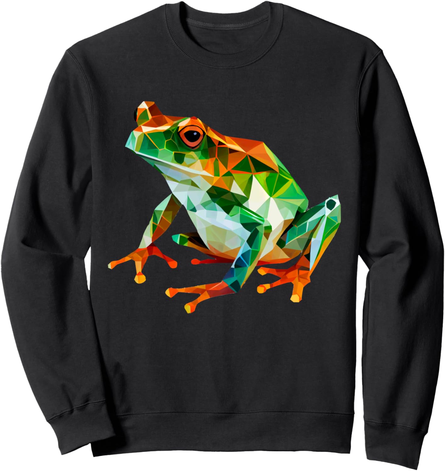 Яркая толстовка с геометрическим рисунком лягушки Colorful Geometric Wildlife Amphibian Art, черный
Яркая толстовка с геометрическим рисунком лягушки Colorful Geometric Wildlife Amphibian Art, черный
