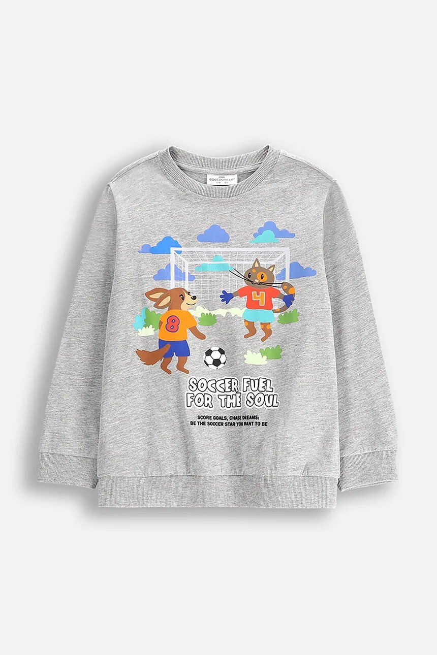 Детская толстовка Coccodrillo, серый
Детская толстовка Coccodrillo, серый