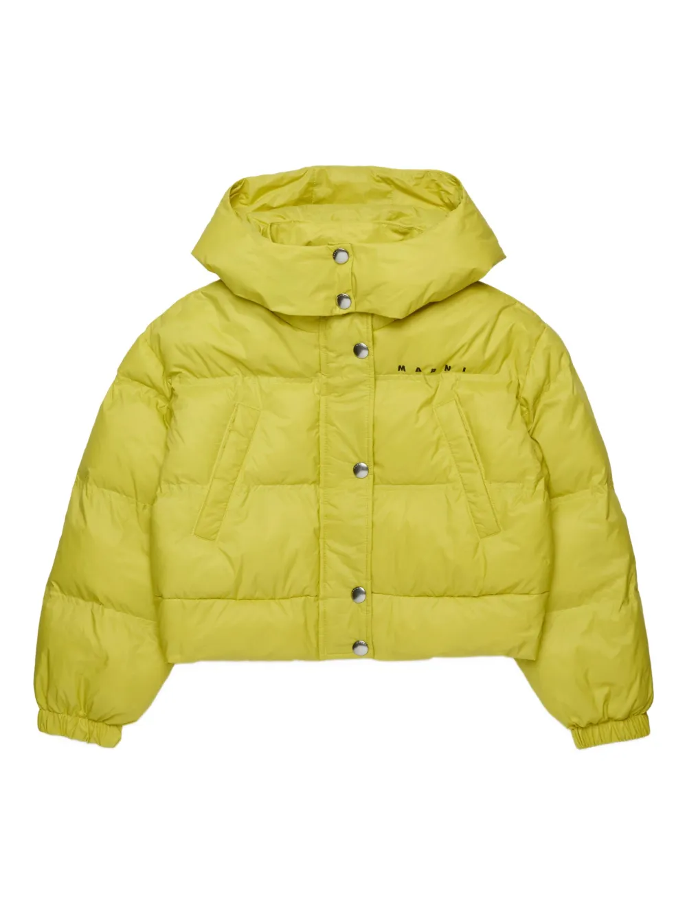 Пуховик с логотипом Marni Kids, зеленый
Пуховик с логотипом Marni Kids, зеленый