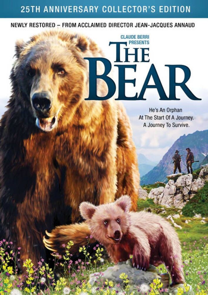 Диск DVD Bear 
Диск DVD Bear