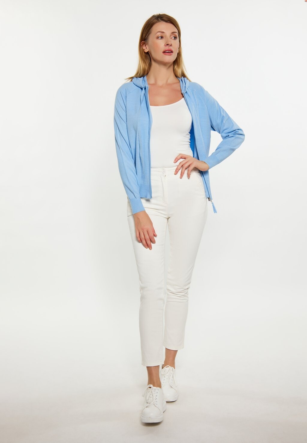 Толстовка на молнии usha, светло-голубой
Толстовка на молнии usha, светло-голубой