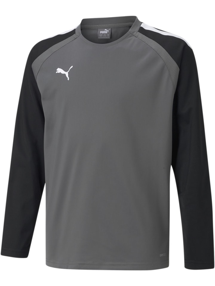 Свитер TeamLIGA Training Sweat Jr серого цвета Puma
Свитер TeamLIGA Training Sweat Jr серого цвета Puma