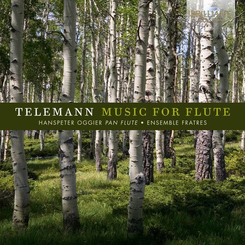 CD диск Telemann / Oggier / Ensemble Fratres: Georg Philipp Telemann: Music for Flute
CD диск Telemann / Oggier / Ensemble Fratres: Georg Philipp Telemann: Music for Flute