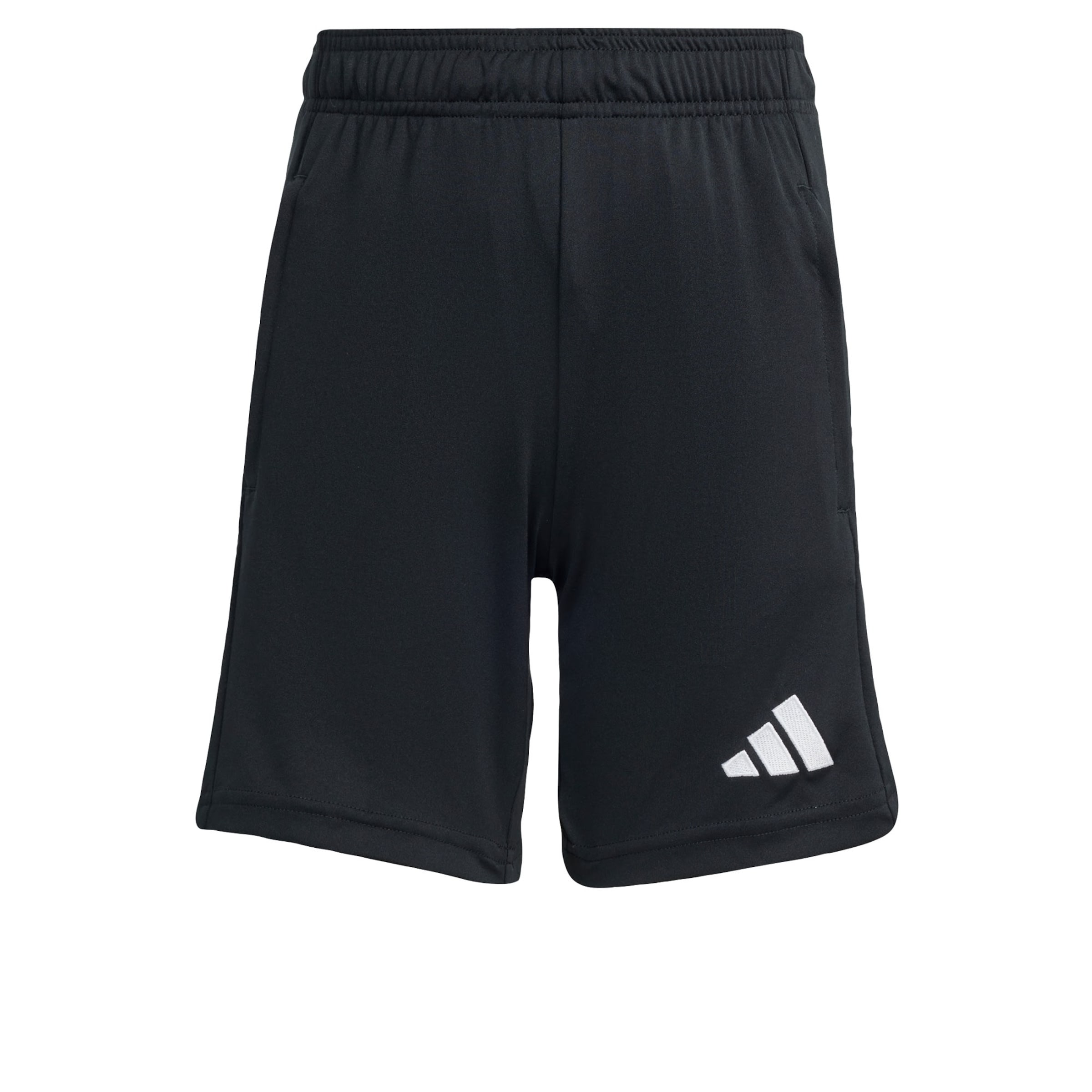 Adidas Performance Шорты для тренировок Regular 'Entrada26' в черном цвете
Adidas Performance Шорты для тренировок Regular 'Entrada26' в черном цвете
