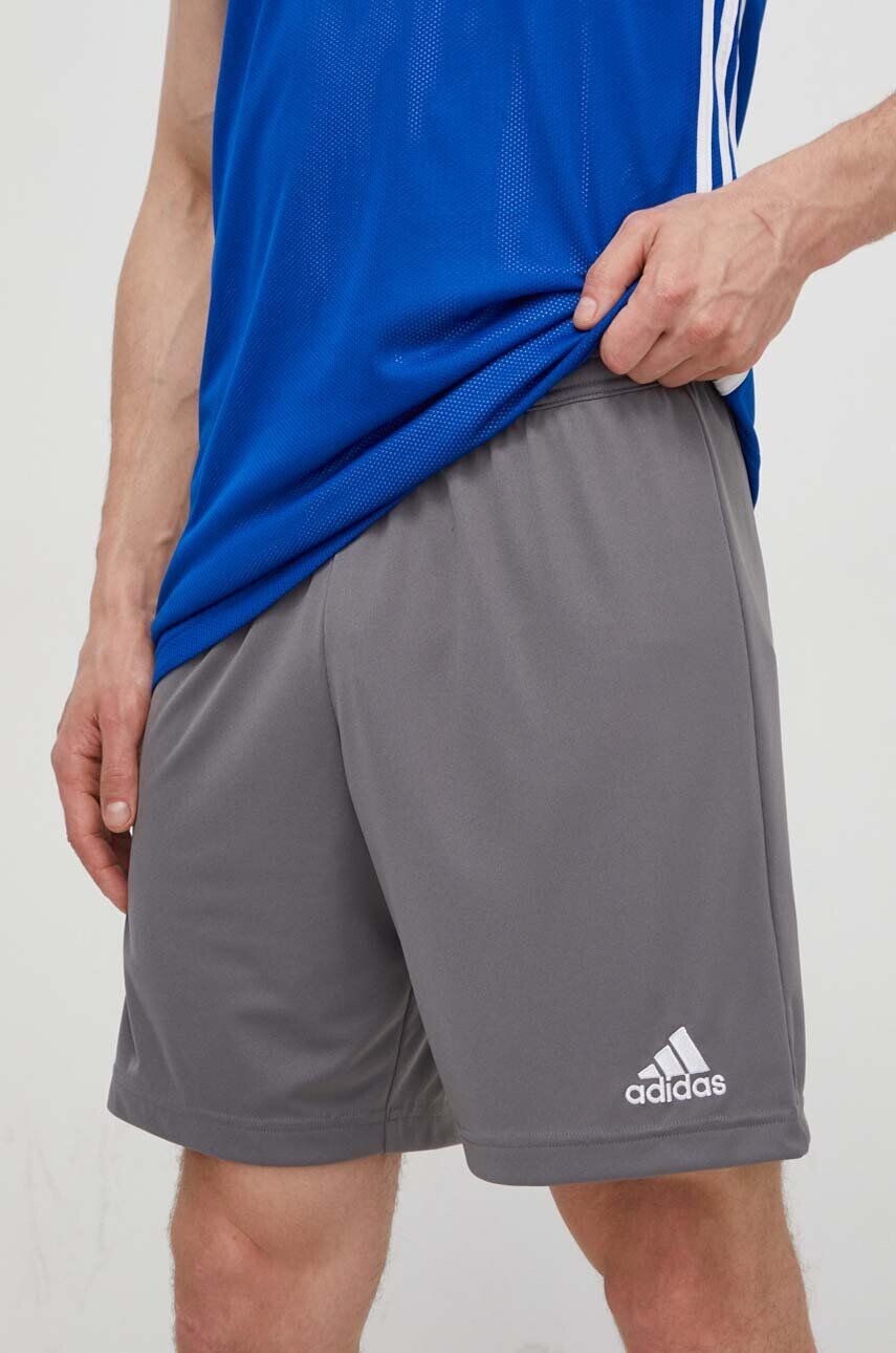 Тренировочные шорты Entrada 22 H57505 adidas Performance, серый
Тренировочные шорты Entrada 22 H57505 adidas Performance, серый