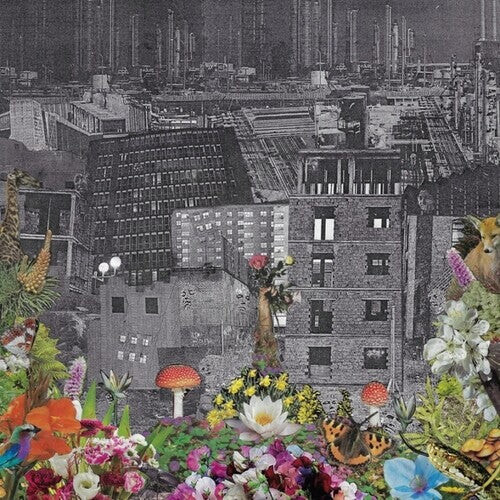 Виниловая пластинка Bloody Head: Perpetual Eden
Виниловая пластинка Bloody Head: Perpetual Eden