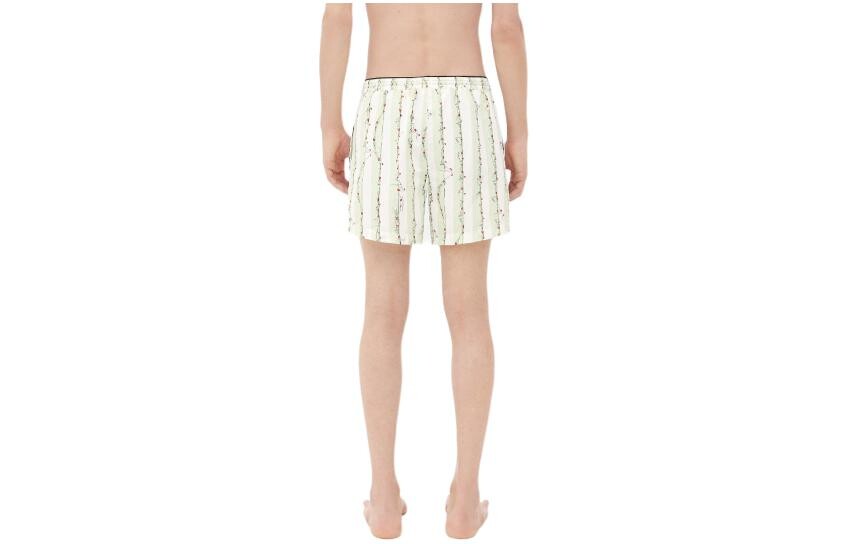 Плавательные шорты мужские светло-зеленые Bottega Veneta, светло-зеленый
Плавательные шорты мужские светло-зеленые Bottega Veneta, светло-зеленый