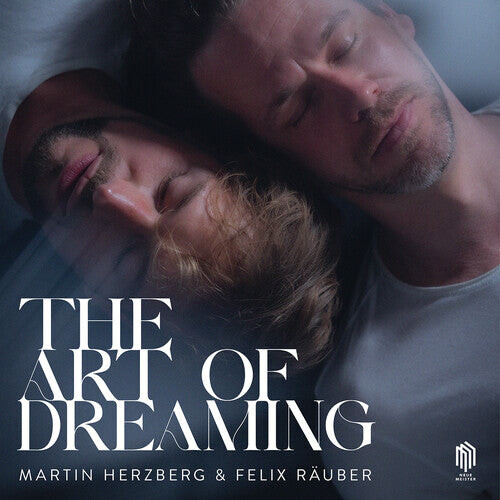 Виниловая пластинка Herzberg / Rauber: Art of Dreaming