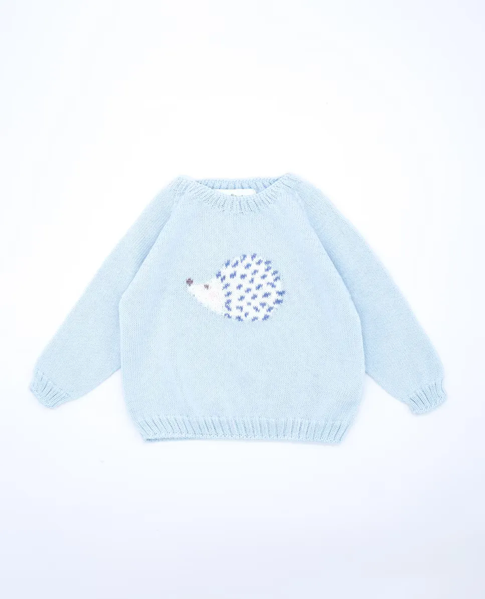Хлопковый свитер для мальчика с ежиком Fina Ejerique, светло-голубой
Хлопковый свитер для мальчика с ежиком Fina Ejerique, светло-голубой