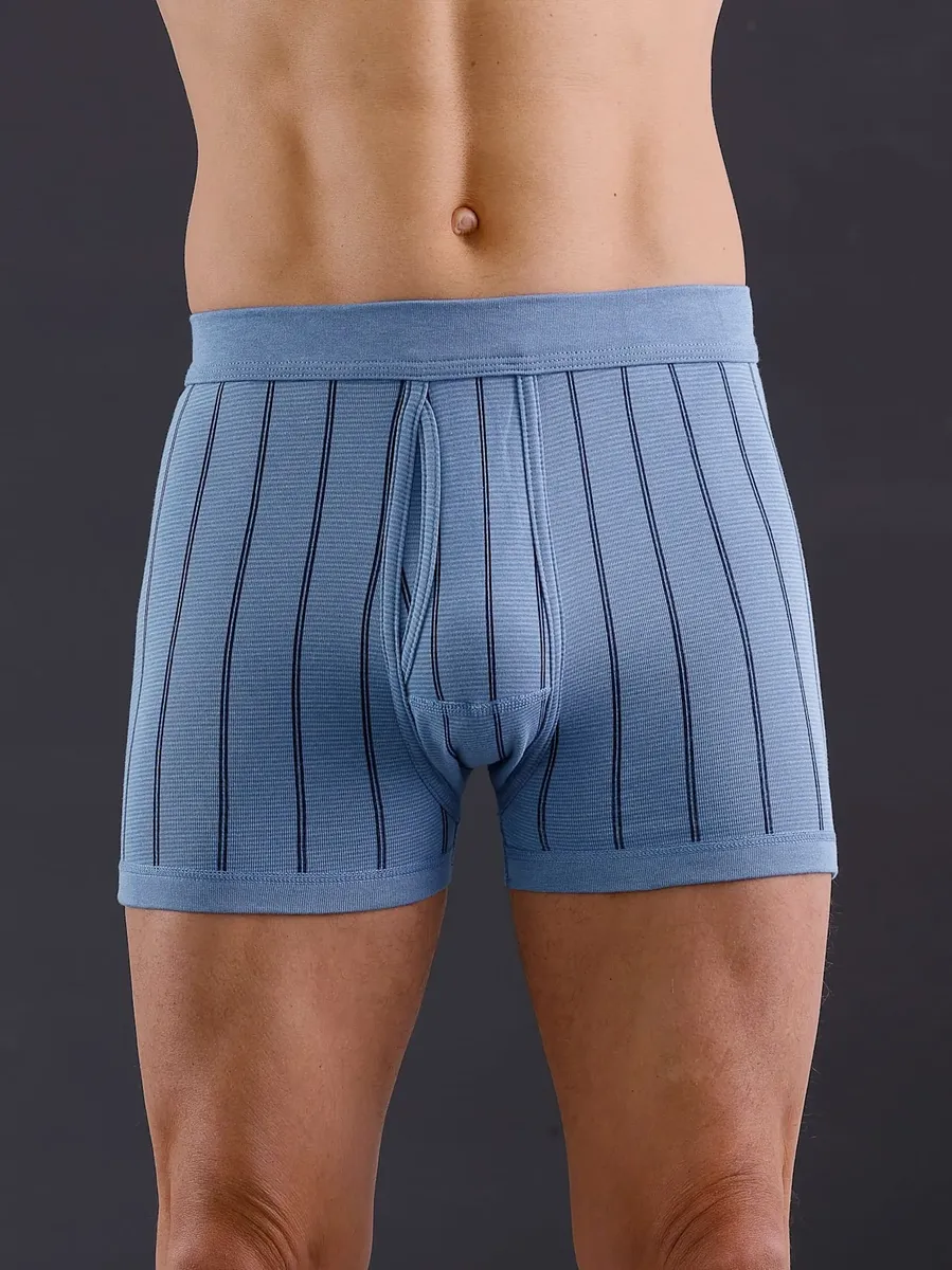 Трусы (2 шт.), цвет Hellblau-Gestreift
Трусы (2 шт.), цвет Hellblau-Gestreift